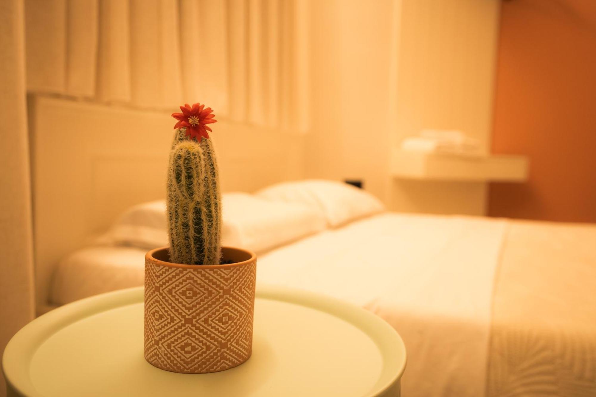 Coral Cane *